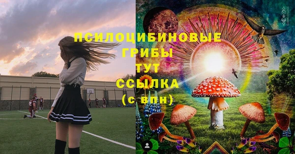 трава Бородино