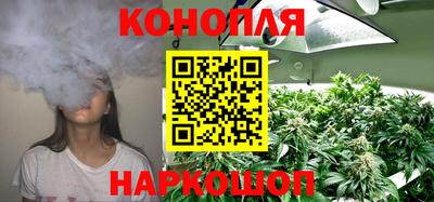 крисы Гусиноозёрск