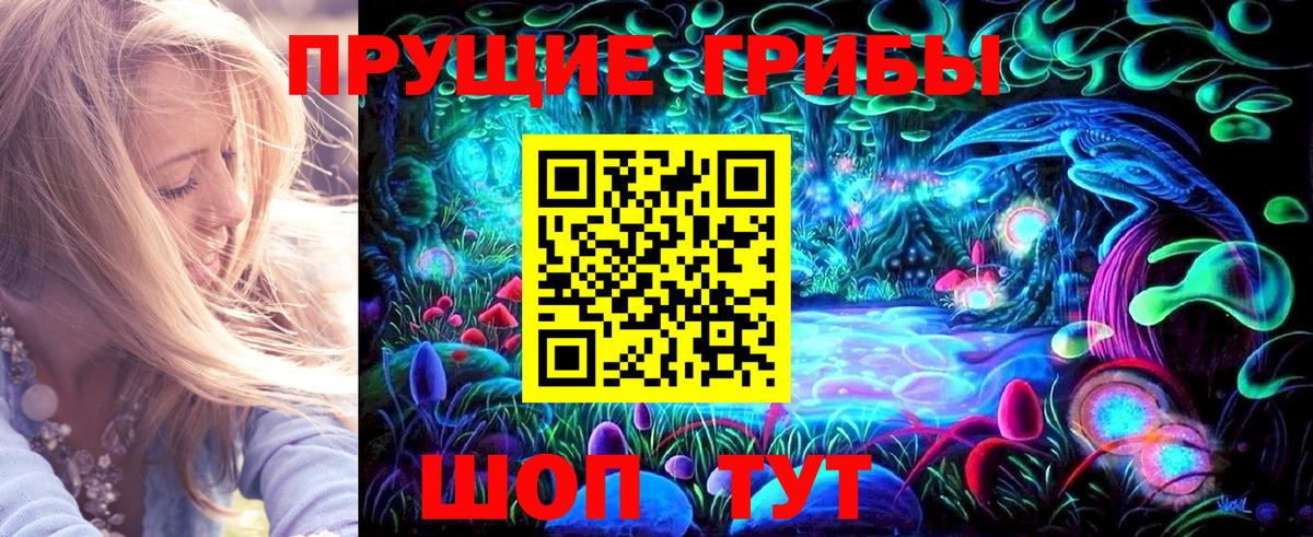 Знаменск  Псилоцибиновые грибы Psilocybe  Галлюциногенные грибы Magic Shrooms  Вход с VPN 